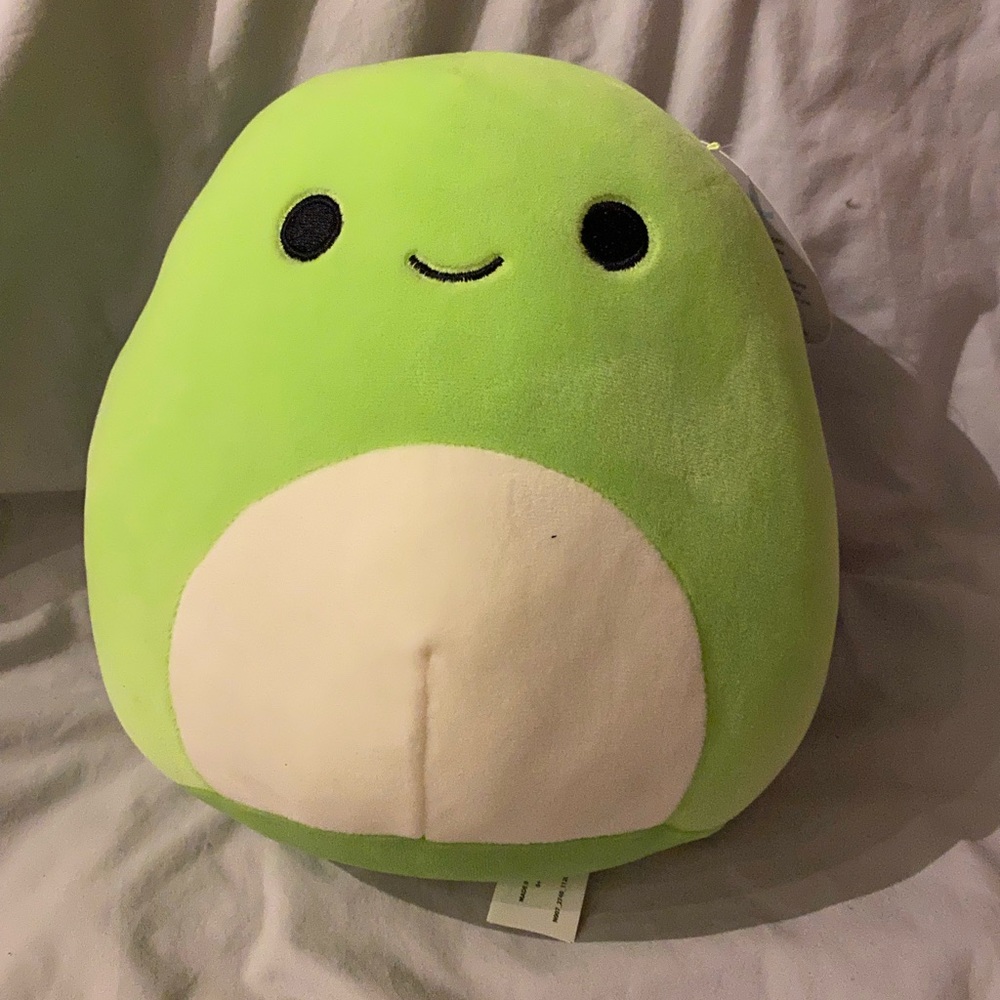 8” Henry the Turtle Squishmallow